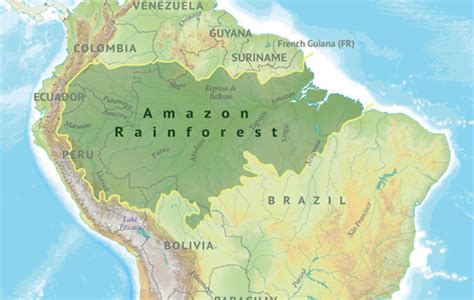 Colombia Y Brasil Juntos Por La Protecci N Del Amazon A El Diario De Abogados