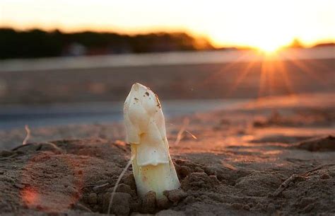 Spargel sollte grundsätzlich nicht ganz weich, sondern wie pasta al dente serviert werden. Spargel in aller Munde - Spargel richtig kochen ...
