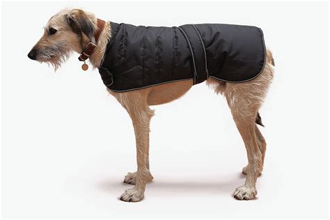 Thermal Harness Dog Coat | Free UK Delivery | PetDeals.co.uk