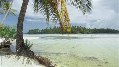 Tropical Island Beach By Stocksy Contributor Trinette Reed Stocksy