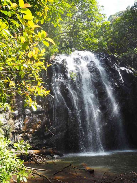 10 Of The Best Waterfalls To Visit On The Atherton Tablelands North