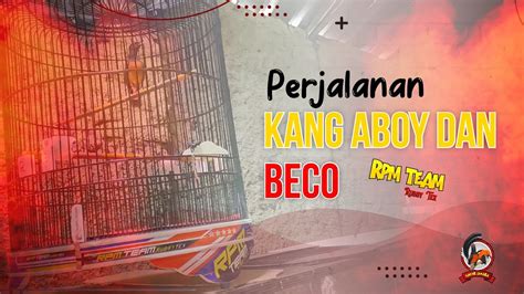 Perjalanan Kang Aboy Bersama Beco Dan Rpm Bagian Dari Kicau Mania