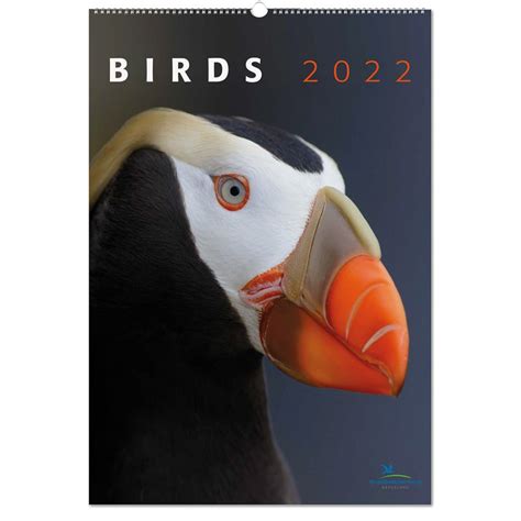 Tuingerei Birds Kalender 2022 Van Vivara Cadeaus
