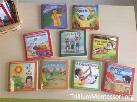 Lin lin and the gulls by laura appleton smith decodable books. Flyleaf Phonics - Learning How to Read