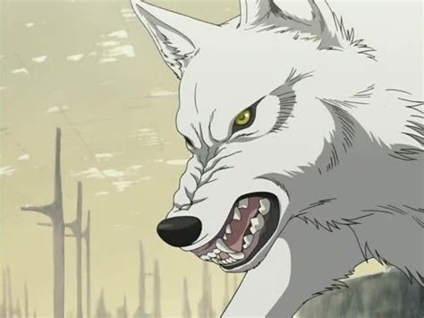Wolves In Anime Wolves Image 16961903 Fanpop