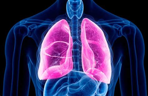 Algo fundamental para que el llegue de manera correcta a los pulmones. Consejos para Respirar Mejor sobre la bicicleta - Noticiclismo