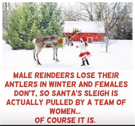 Santa’s Sleigh Female Reindeer Santa Sleigh Holiday Humor