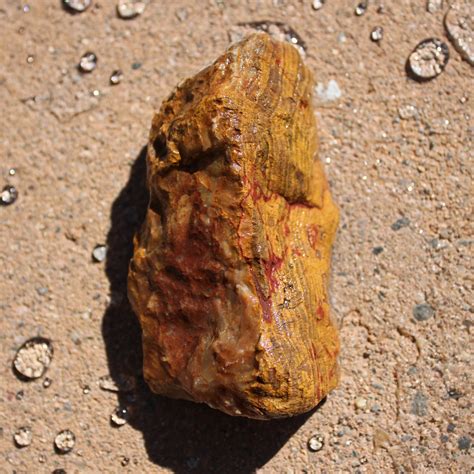 Cave Creek Onyx Mineral Specimen Gold Onyx Geology Ts Etsy