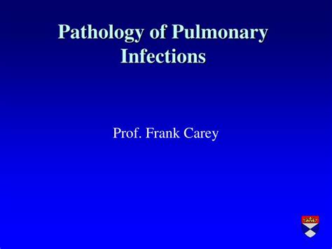 Ppt Pathology Of Pulmonary Infections Powerpoint Presentation Free