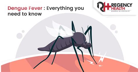 Dengue Fever All You Need To Know Blog Regency Healthcare Ltd
