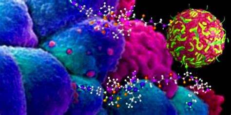 Nanosponges Show Promise In Killing Tumors