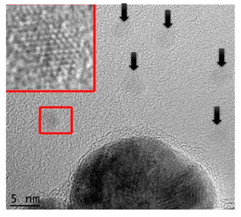 Unstained Tem Image Showing The Presence Of Small Aunps With An Average Download Scientific