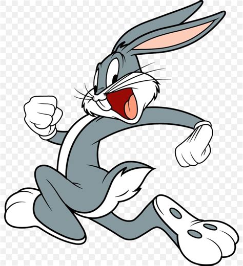 Bugs Bunny Daffy Duck Looney Tunes Warner Bros Cartoons Png