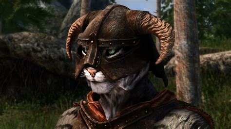 Khajiit At Skyrim Special Edition Nexus Mods And Community