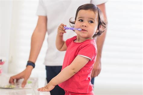 Higiene Dental ¿cómo Realizarla En Bebés Y Niños