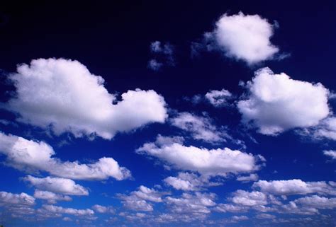 White Cumulus Clouds In Deep Blue Sky By Doug Armand