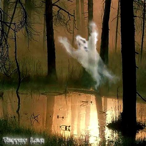 Swamp Gas Terry Lea Flickr