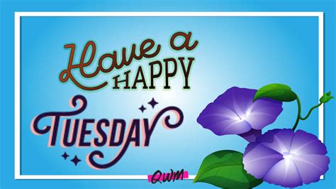 Happy Tuesday Wallpapers Wallpaper Cave