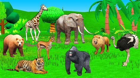 Learn Forest Animals Names And Sounds Kids Learning Video