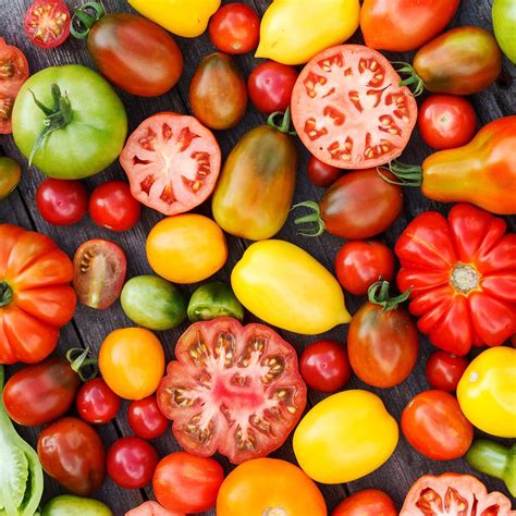 10 Things You Definitely Didnt Know About Tomatoes Taste Of Home