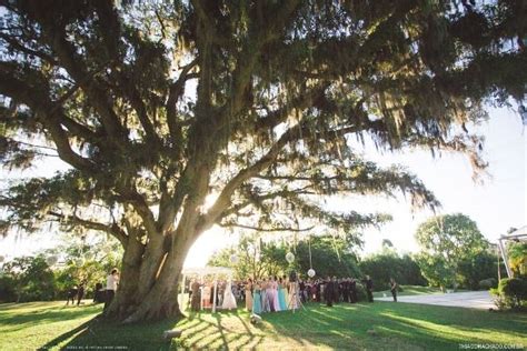 Alameda Figueira  Vestida de Noiva  Fernanda Floret  Blog de