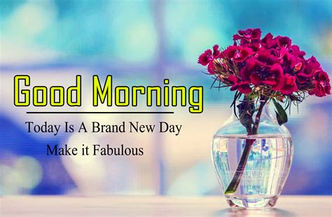 Good Morning Images Hd Free 1080p Download Good Morning Images Good