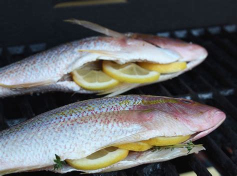 Yellowtail Fish Recipe Baked All About Baked Thing Recipe