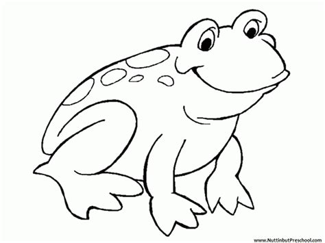 Jumping Frog Coloring Pages Clipart Panda Free Clipart Images