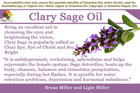 Clary sage essential oil is removed by steam distillation through the buds and leaves of the clary sage plant whose medical name is salvia sclarea. Clary Sage in Ayurveda | Essential Oil