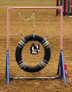 We built a dog obstacle course in our backyard. How to Build a Tire Jump | For dogs, Dog park and Nerf