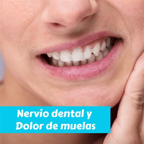 Nervio Dental Y Dolor De Muelas Odontología Caballito Consultorios