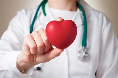 What An Echocardiogram Can Reveal About Your Heart Woodlands Heart And