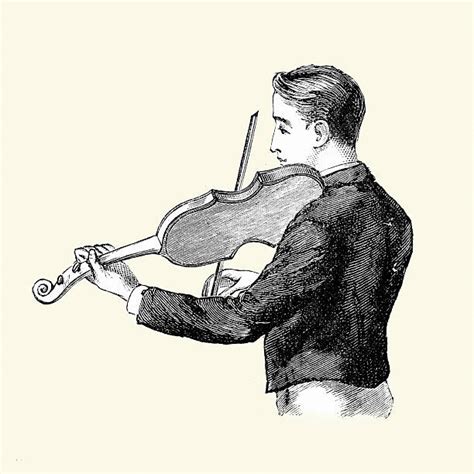 Violins And Bows Drawing Illustrations Royalty Free Vector Graphics