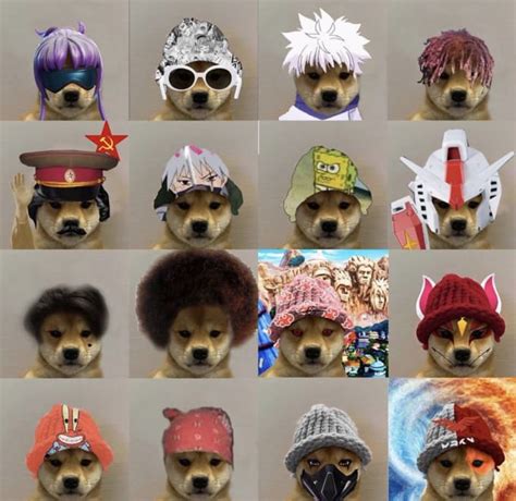Make A Custom Dog Wif Hat Profile Picture By Callummoulton Fiverr