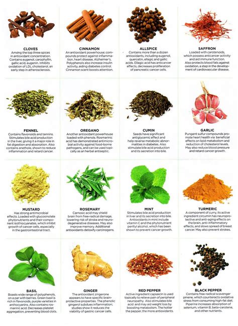 Healing Properties Of Herbs Infographics