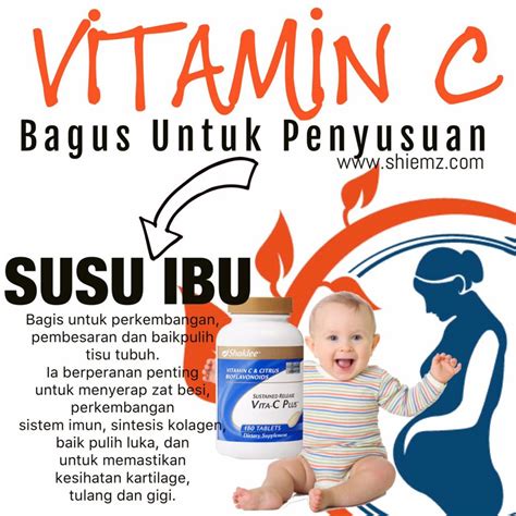 Vitamin e dan c sangat baik untuk menjaga daya tahan tubuh. 7 Sebab Vitamin C Terbaik Perlu Untuk Ibu Menyusu - Shiemz ...