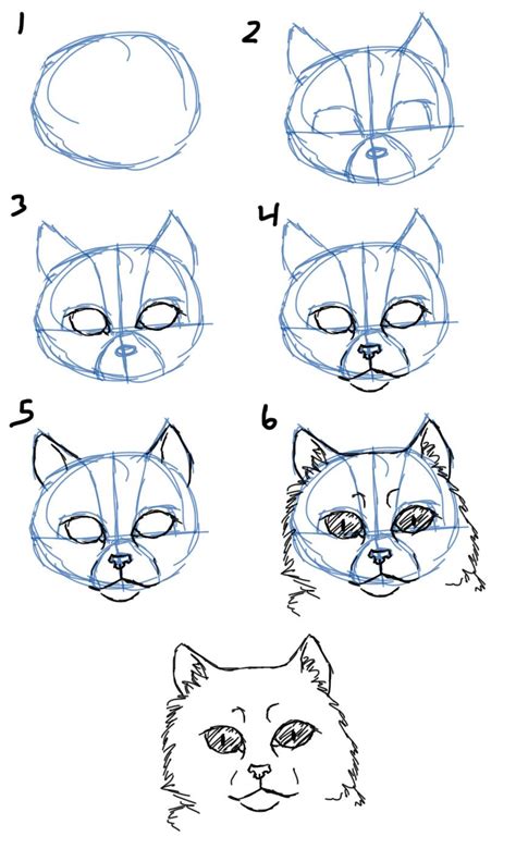 Cat Drawing Tutorial Drawings Cat Drawing