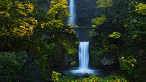 Download 2560x1440 Waterfall Stream Forest Wallpapers For Imac 27