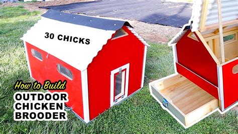 Building An Outdoor Broodercoop For 30 Baby Chickens 🐥 Youtube