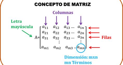Algebra lineal - matrices y determinantes