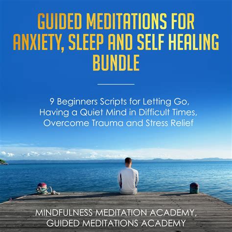 Librofm Guided Meditations For Anxiety Sleep And Self Healing