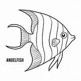 Angelfish Coloring Emperor Illustrations Fish Angel Vector Clip Children Vectors Illustration Dreamstime sketch template