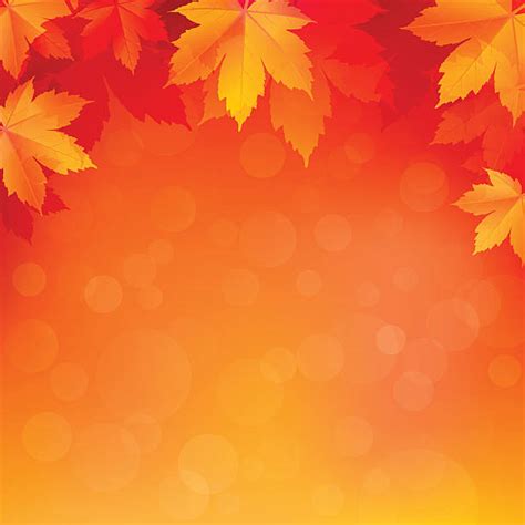 Best Autumn Illustrations Royalty Free Vector Graphics And Clip Art Istock
