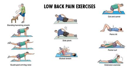 Core Exercises For Back Pain Sufferers Exercise Poster