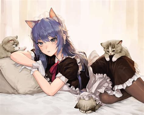 Update More Than Anime Cat Maid Super Hot In Coedo Com Vn