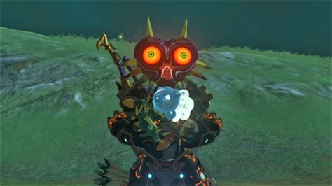 It is an elixir that link can make by cooking either fireproof lizards or smotherwing butterfly with monster parts. The Best Elixir Recipes in The Legend of Zelda: Breath of the Wild - IGN