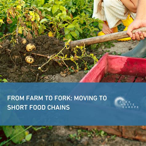 From Farm To Fork Moving To Short Food Chains Zero Waste Europe