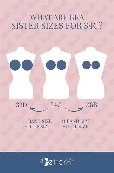 how big is a 34c bra cup size thebetterfit