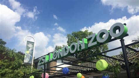 Zsl London Zoo North London London Attractions Lonely Planet