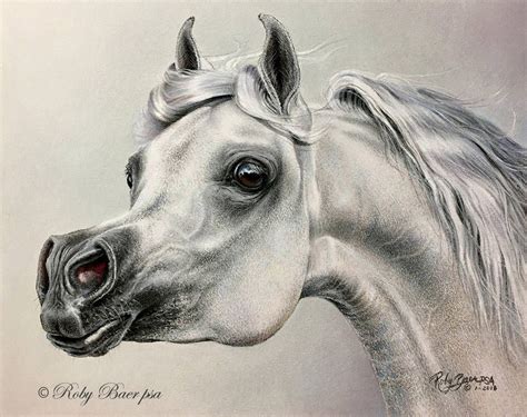 Arabian Horse 8x10 Pastel Painting On Bristol By Robybaer Arabian